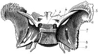 HPN121BA.TIF
