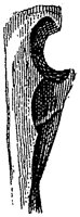 HPN121AS.TIF