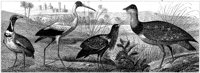 HPN092AC.TIF