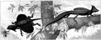 HPN087AC.TIF