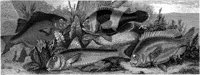 HPN083AA.TIF