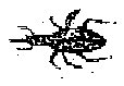 HPN079DY.TIF
