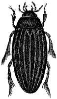 HPN079AY.TIF