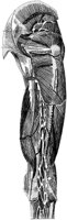 HPN133AG.TIF
