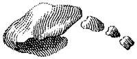 HPN131AQ.TIF