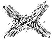 HPN130BL.TIF