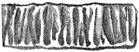 HPN129AG.TIF