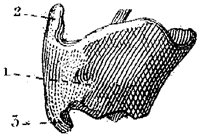 HPN128BC.TIF