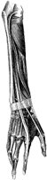 HPN127AN.TIF