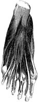 HPN127AG.TIF