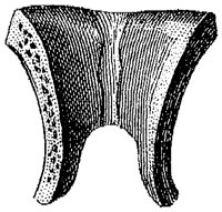 HPN124AG.TIF