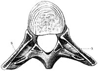 HPN123AG.TIF