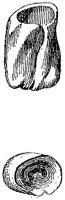 HPN122BV.TIF