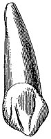 HPN122BS.TIF