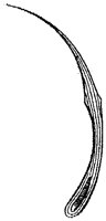 HPN139DJ.TIF