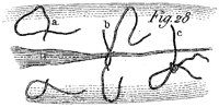 HPN139DH.TIF