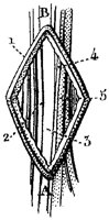 HPN138AJ.TIF