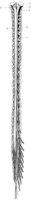 HPN136AM.TIF