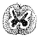 HPN136AK.TIF