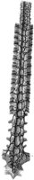 HPN135AG.TIF