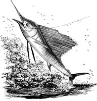 FNA026A.TIF