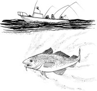 FNA006A.TIF