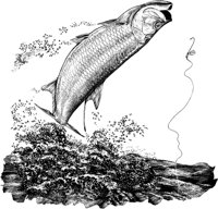 FNA005A.TIF