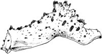 MAR030C.TIF