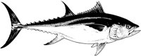 MAR030B.TIF