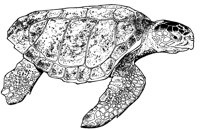 MAR028C.TIF