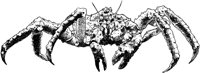 MAR023C.TIF