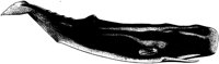 MAR023A.TIF