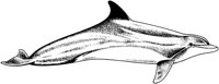 MAR022C.TIF