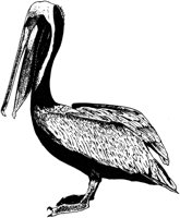 MAR012C.TIF