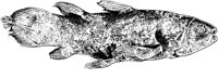 MAR010B.TIF