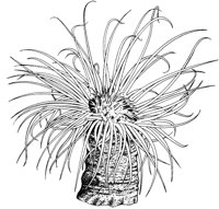MAR007B.TIF