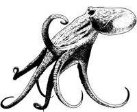 MAR004C.TIF