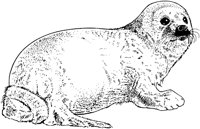 MAR004A.TIF