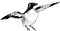 MAR003A.TIF
