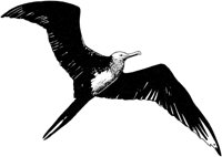 MAR002A.TIF