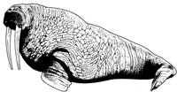 MAR001C.TIF