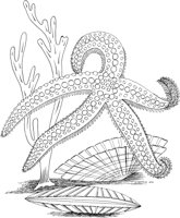 SSL028B.TIF