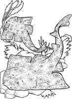SHR031A.TIF