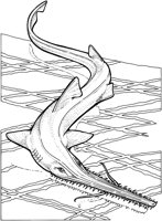SHR027A.TIF