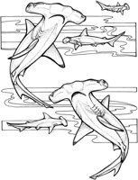 SHR026A.TIF