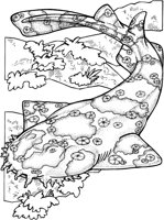 SHR021A.TIF