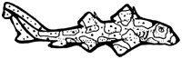 SHR017D.TIF