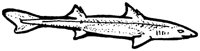SHR016K.TIF