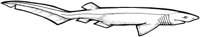 SHR016G.TIF
