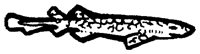SHR016F.TIF